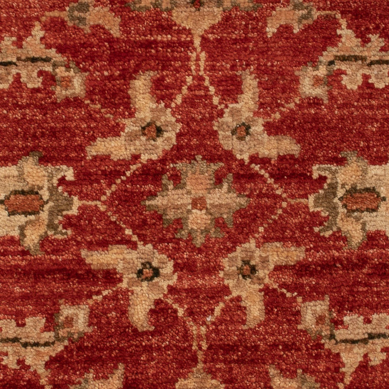 Ziegler Rug - 67 x 49 cm - red