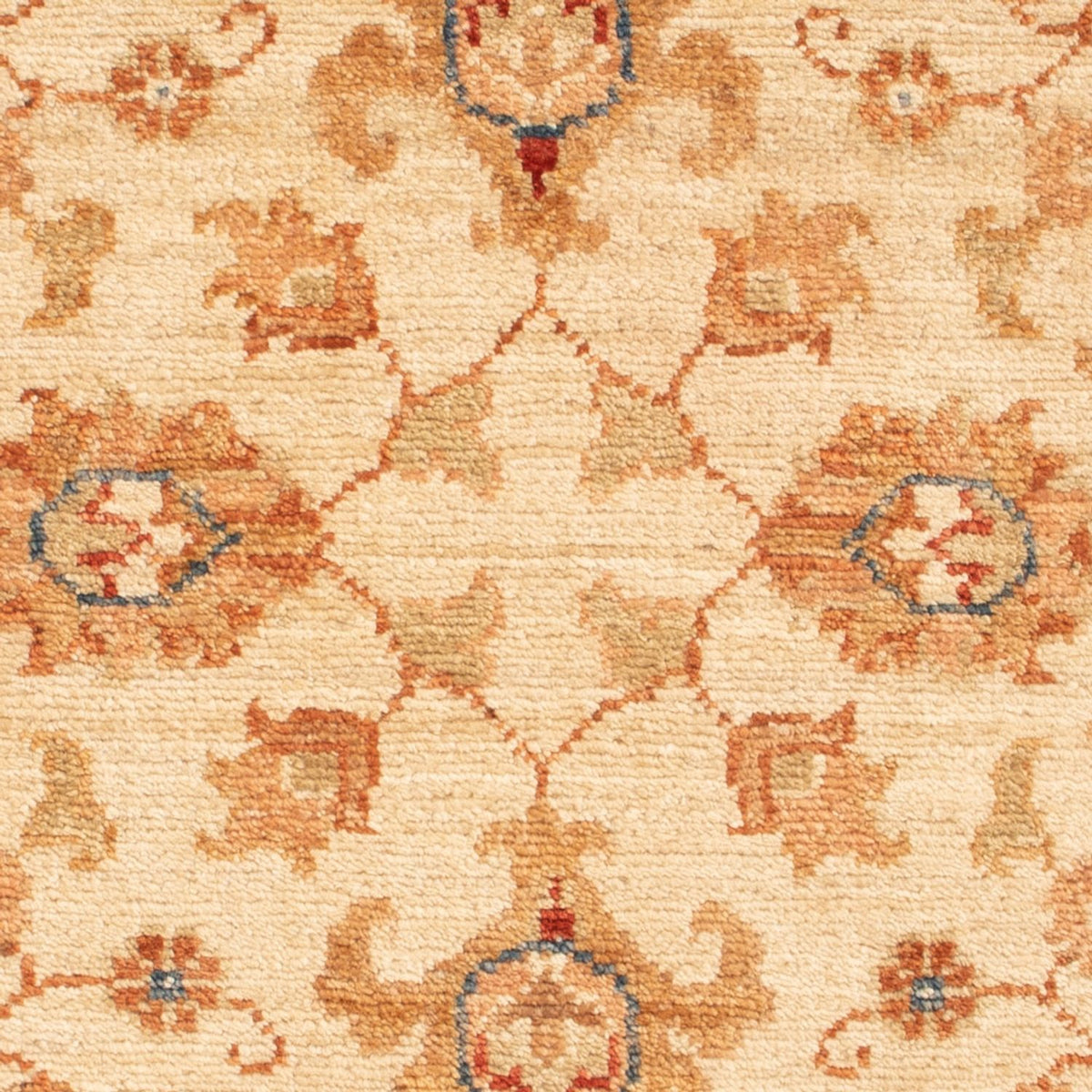 Ziegler Rug - 86 x 62 cm - beige
