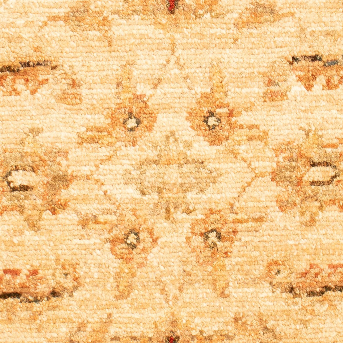 Ziegler Rug - 70 x 50 cm - beige