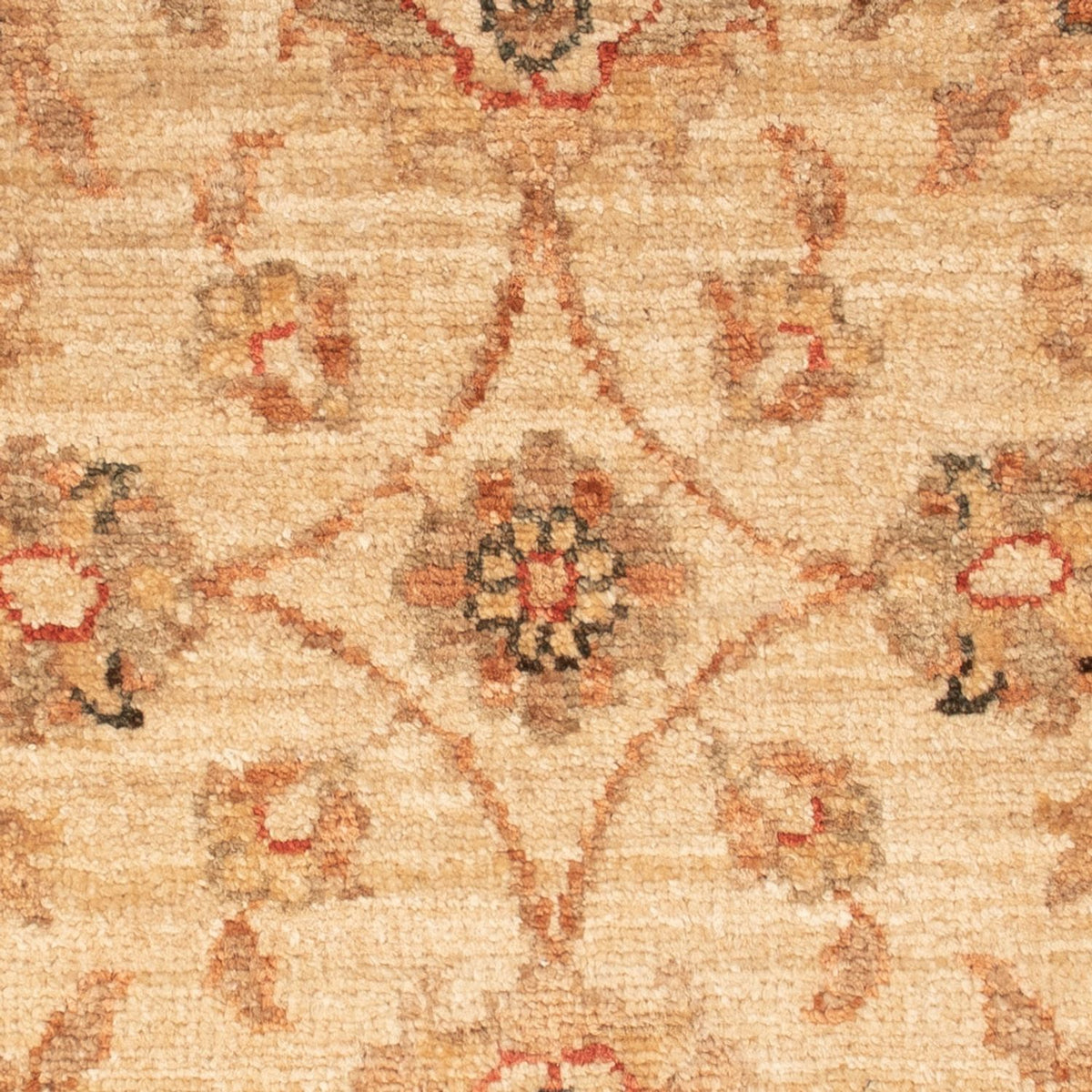 Ziegler Rug - 68 x 48 cm - beige