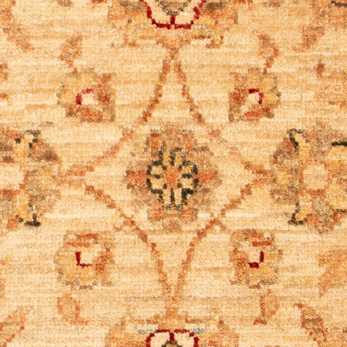 Ziegler Rug - 71 x 51 cm - beige