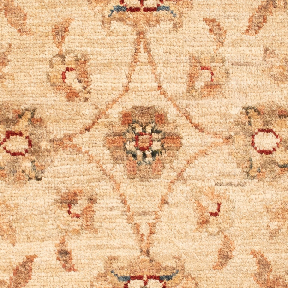 Ziegler Rug - 75 x 50 cm - beige