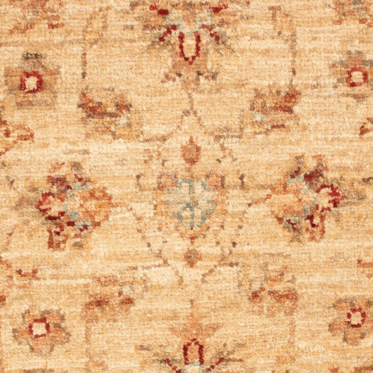 Ziegler Rug - 68 x 50 cm - beige