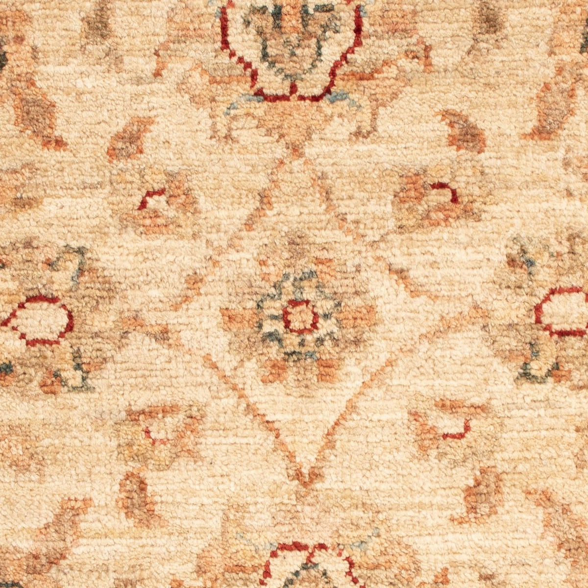 Ziegler Rug - 70 x 51 cm - beige