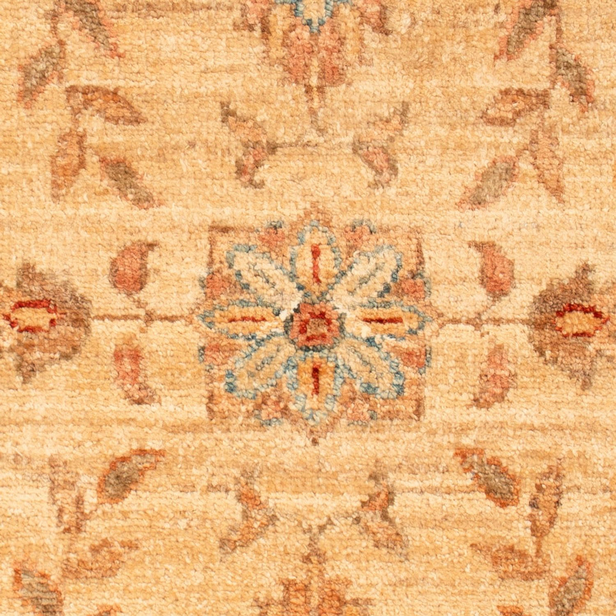 Ziegler Rug - 70 x 50 cm - beige