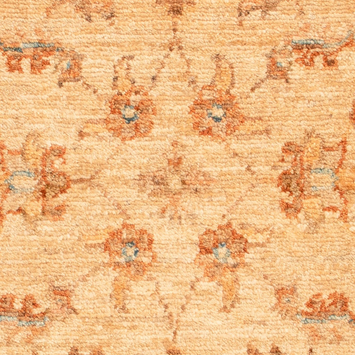 Ziegler Rug - 73 x 52 cm - beige