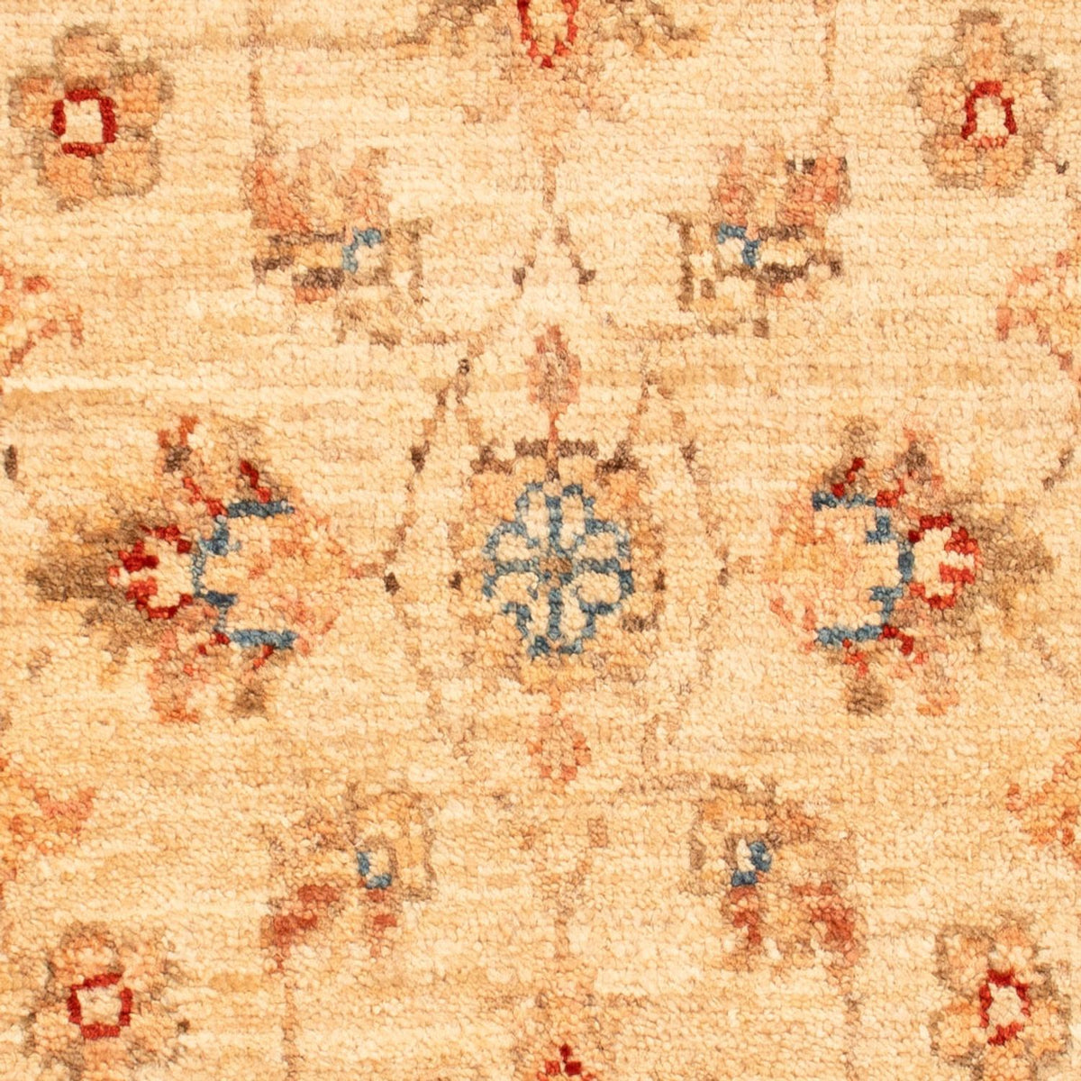 Ziegler Rug - 77 x 49 cm - beige