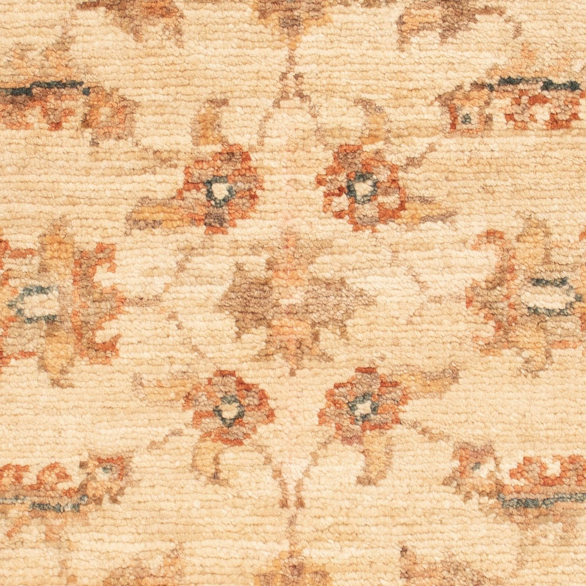 Ziegler Rug - 67 x 50 cm - beige
