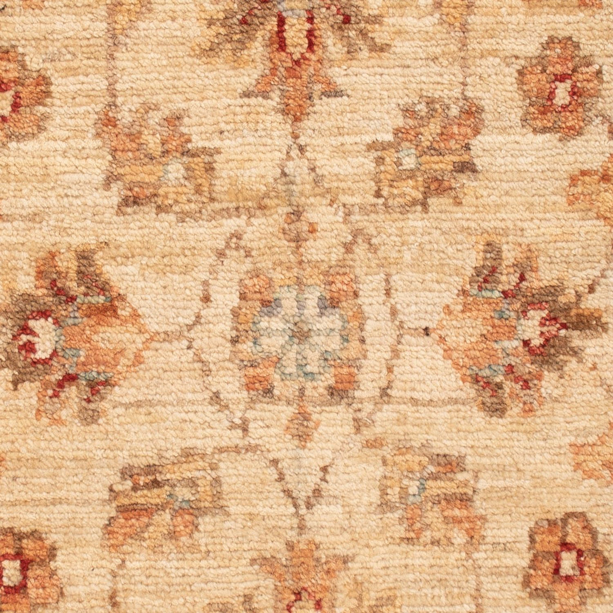 Ziegler Rug - 71 x 49 cm - beige