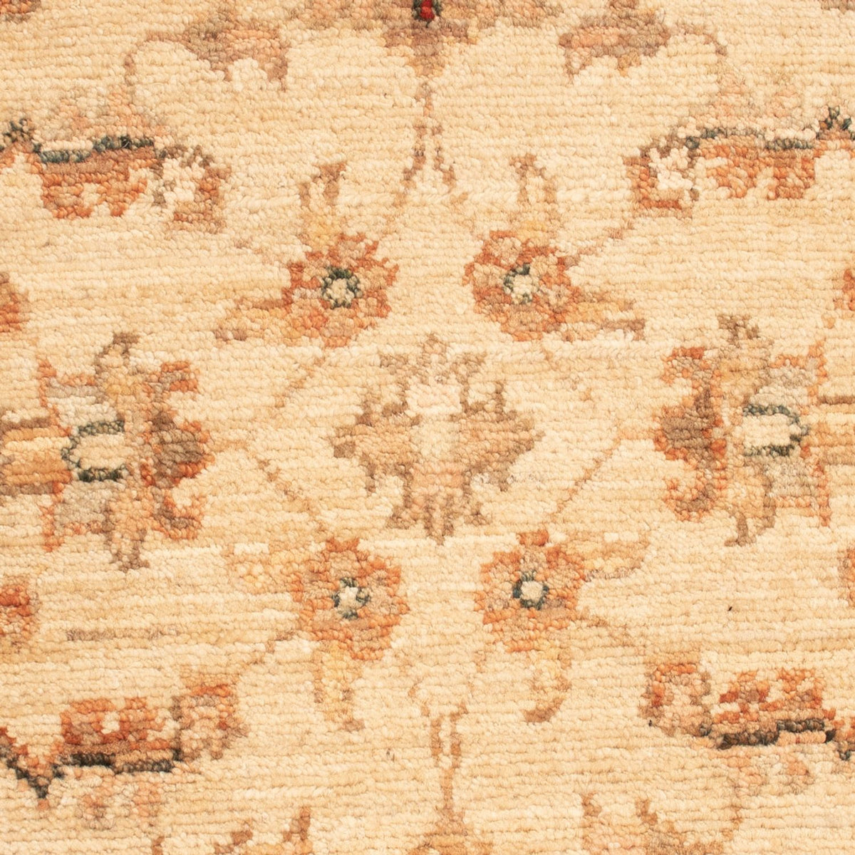 Ziegler Rug - 69 x 48 cm - beige