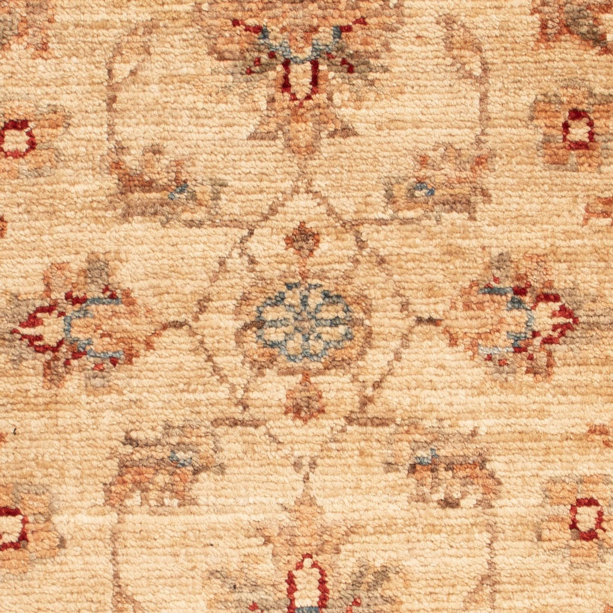 Ziegler Rug - 67 x 48 cm - beige