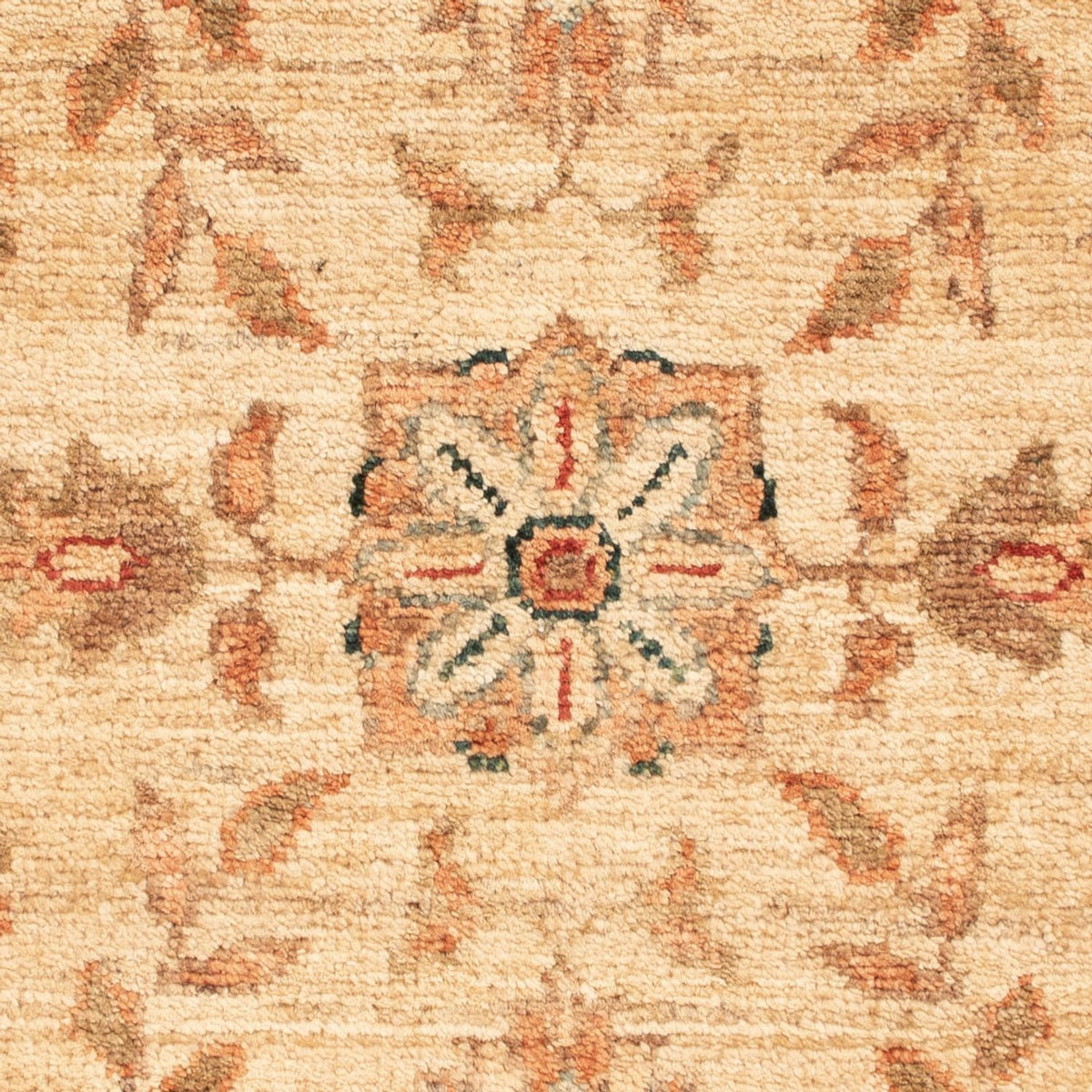 Ziegler Rug - 69 x 50 cm - beige