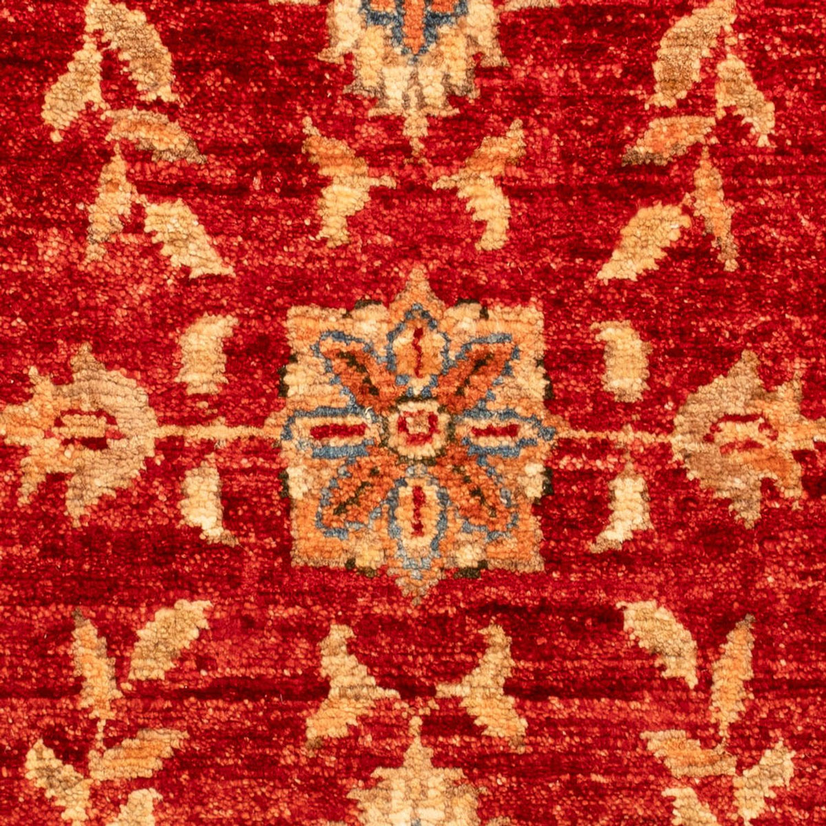 Ziegler Rug - 68 x 49 cm - red