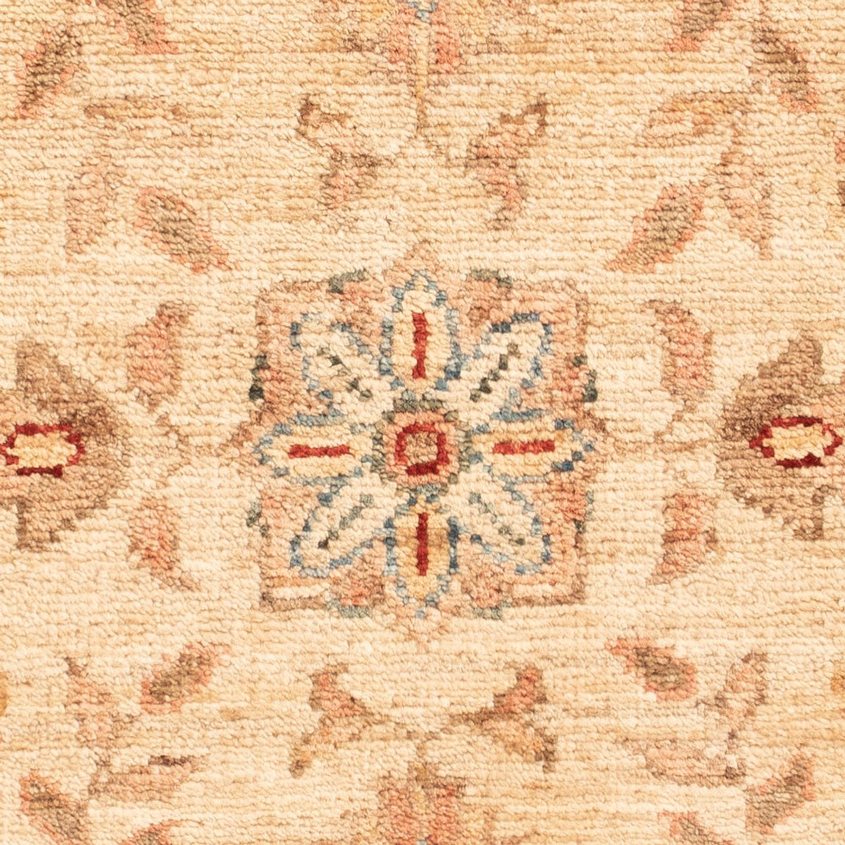Ziegler Rug - 70 x 50 cm - beige