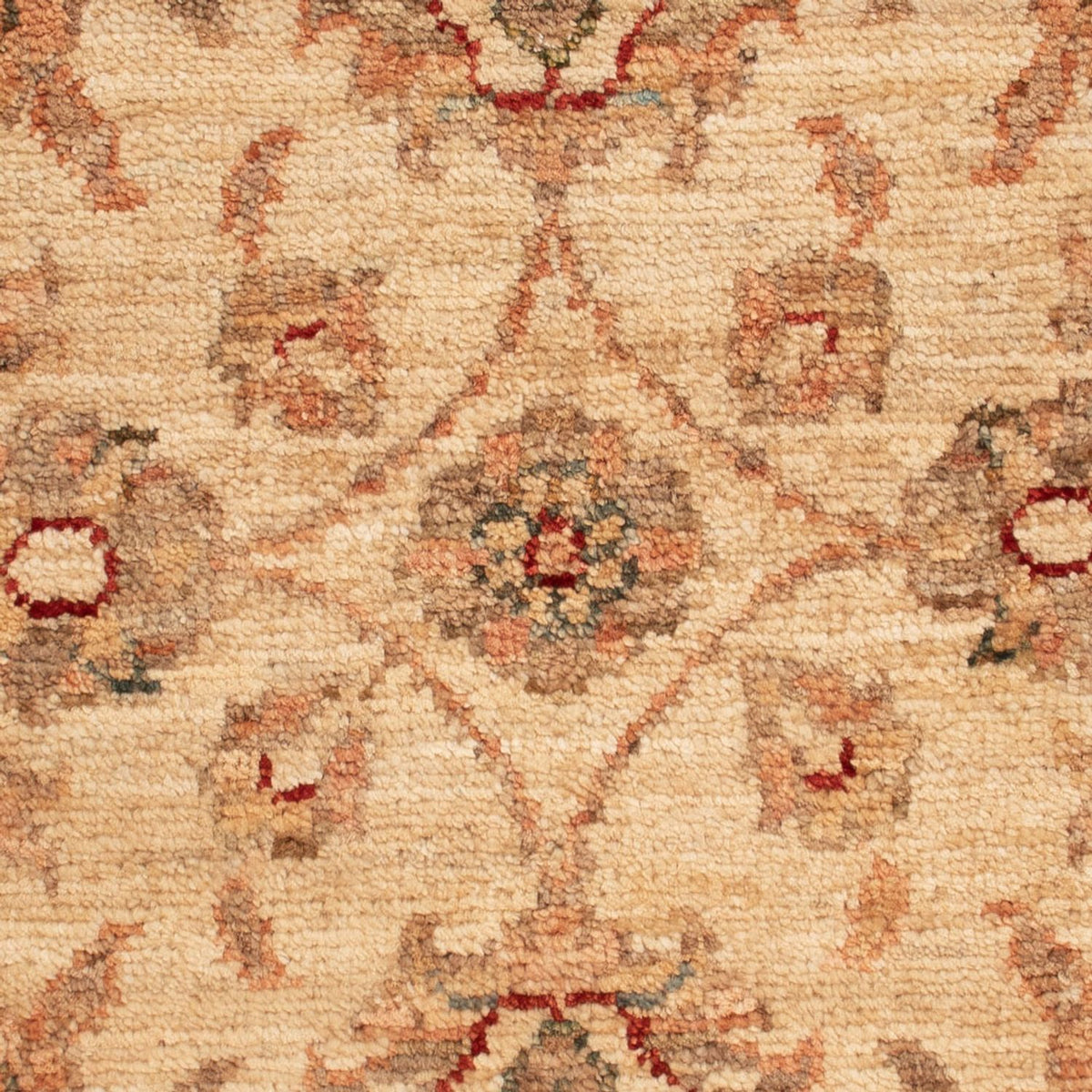 Ziegler Rug - 68 x 49 cm - beige
