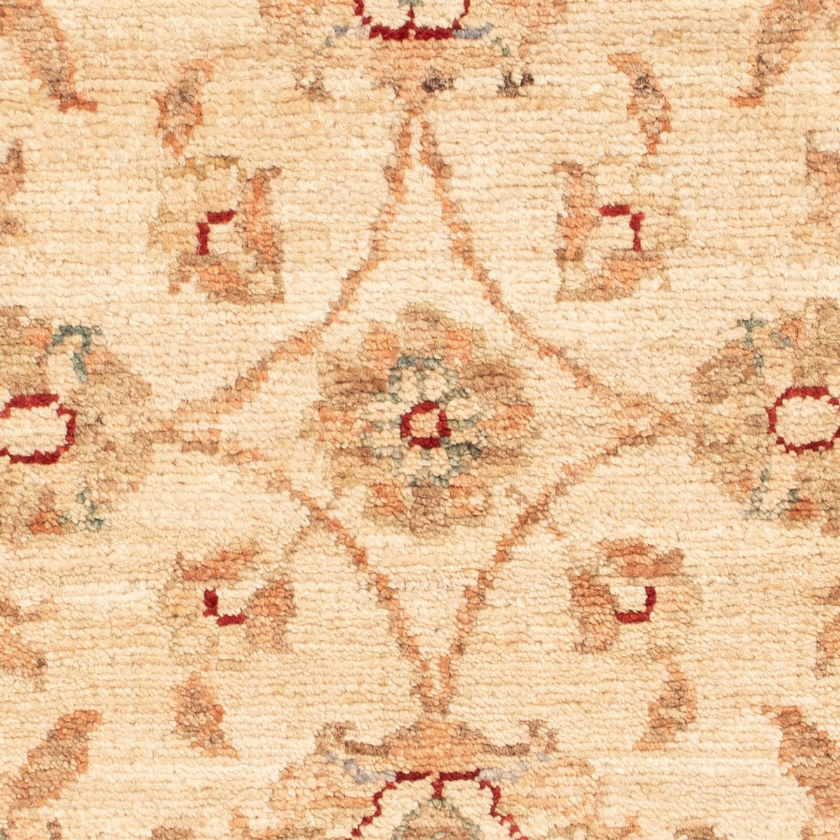 Ziegler Rug - 65 x 49 cm - beige
