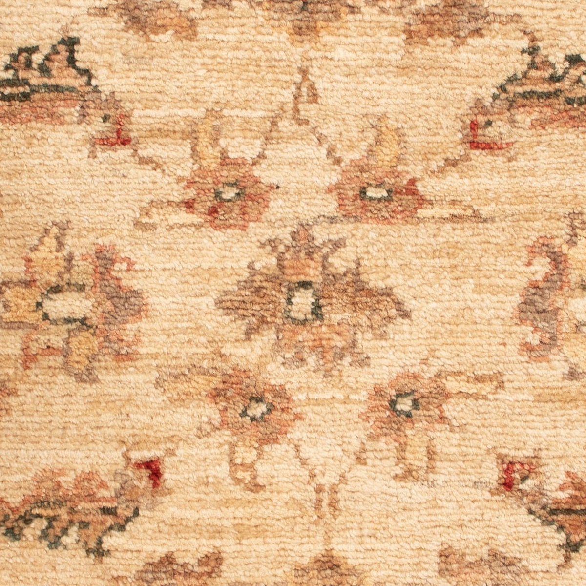 Ziegler Rug - 65 x 50 cm - beige