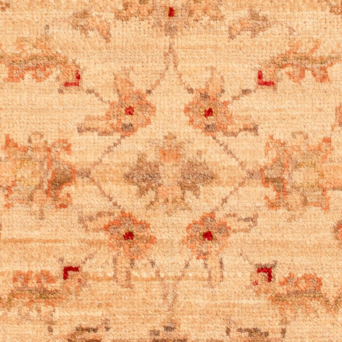 Ziegler Rug - 68 x 51 cm - beige