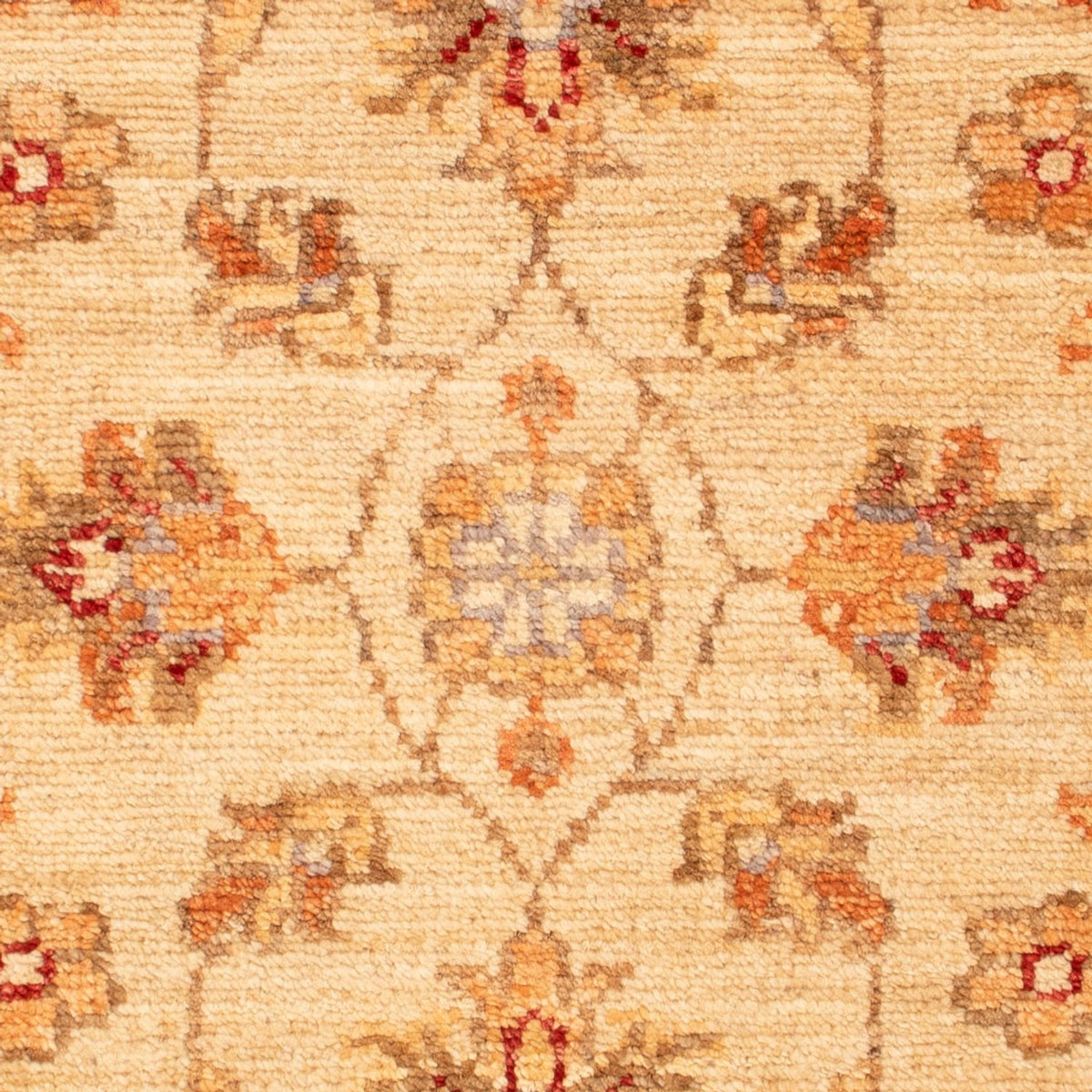 Ziegler Rug - 72 x 52 cm - beige