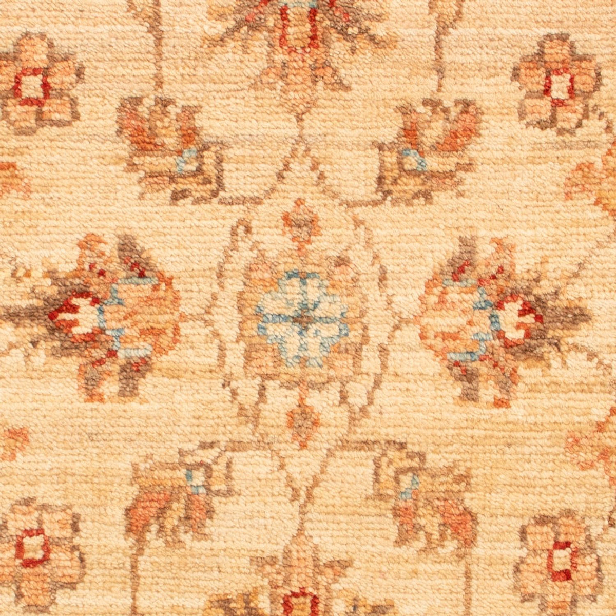 Ziegler Rug - 75 x 51 cm - beige