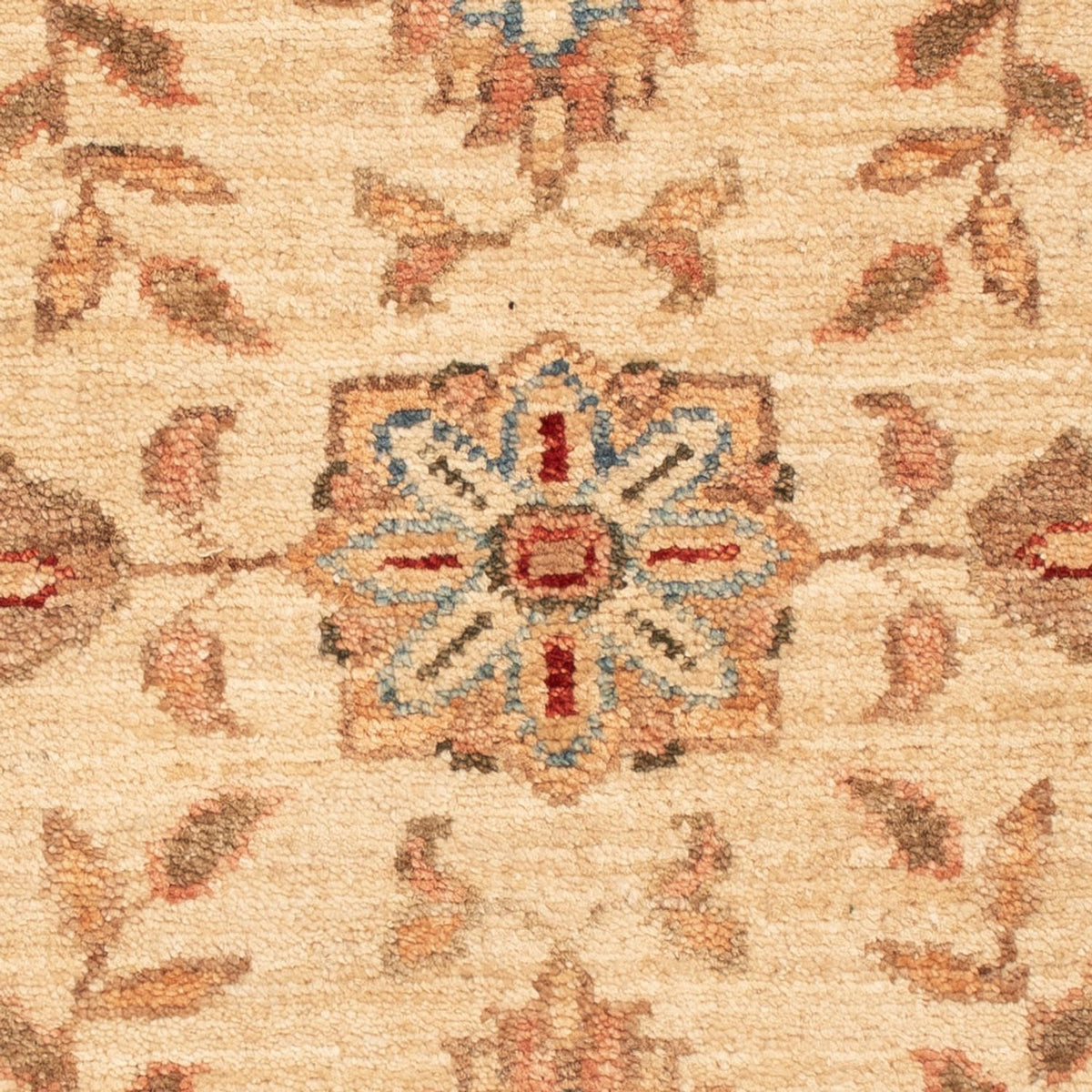 Ziegler Rug - 61 x 51 cm - beige