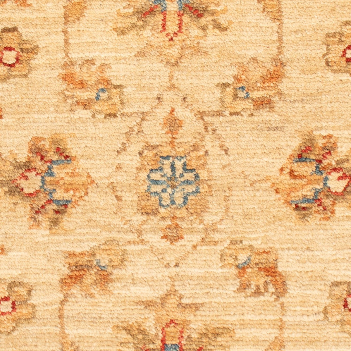 Ziegler Rug - 68 x 51 cm - beige