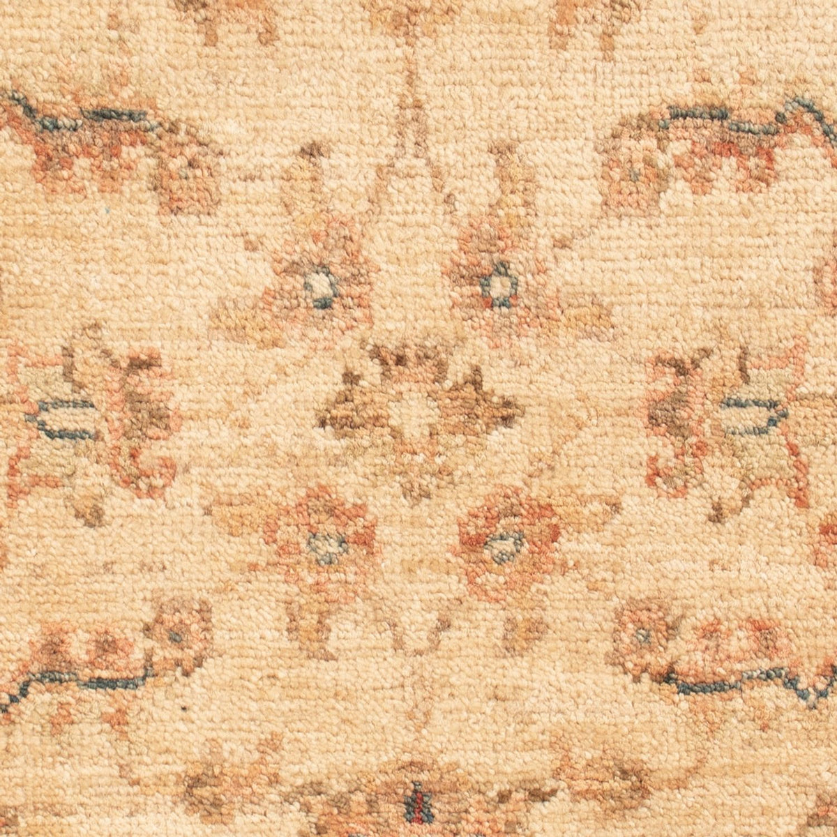 Ziegler Rug - 69 x 50 cm - beige