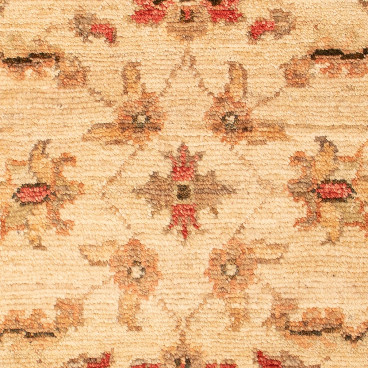 Ziegler Rug - 68 x 52 cm - beige