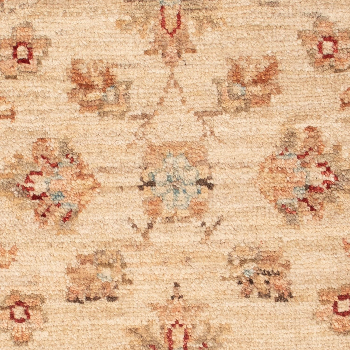 Ziegler Rug - 69 x 50 cm - beige