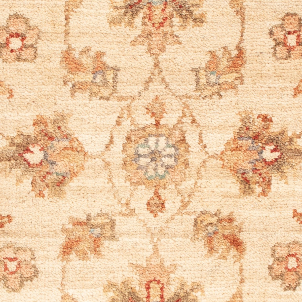 Ziegler Rug - 68 x 52 cm - beige