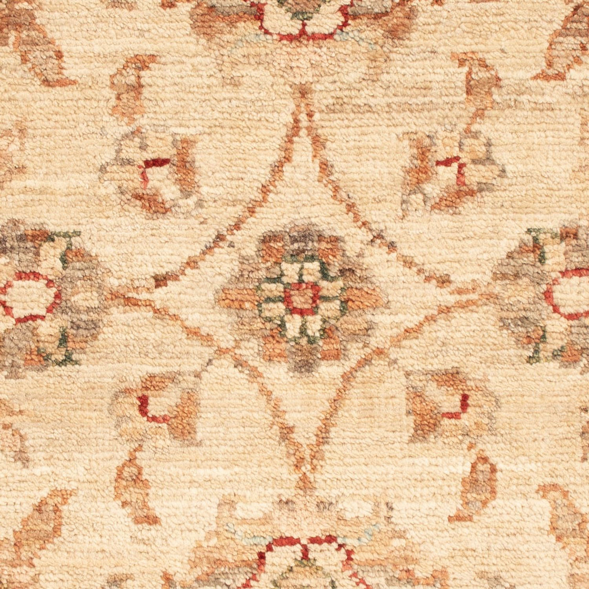 Ziegler Rug - 73 x 51 cm - beige