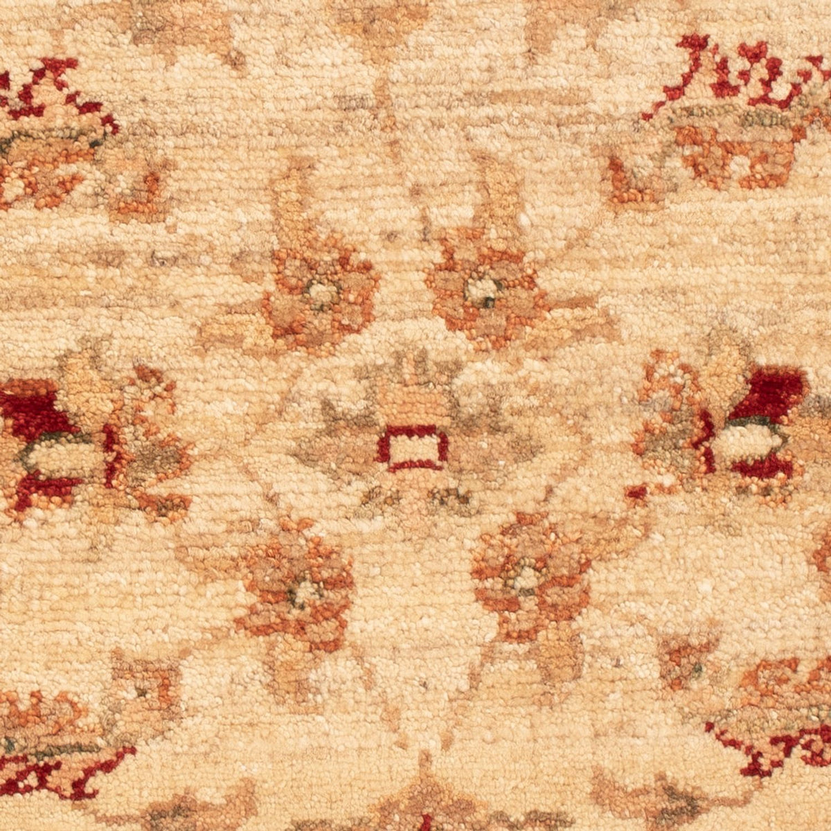 Ziegler Rug - 65 x 53 cm - beige