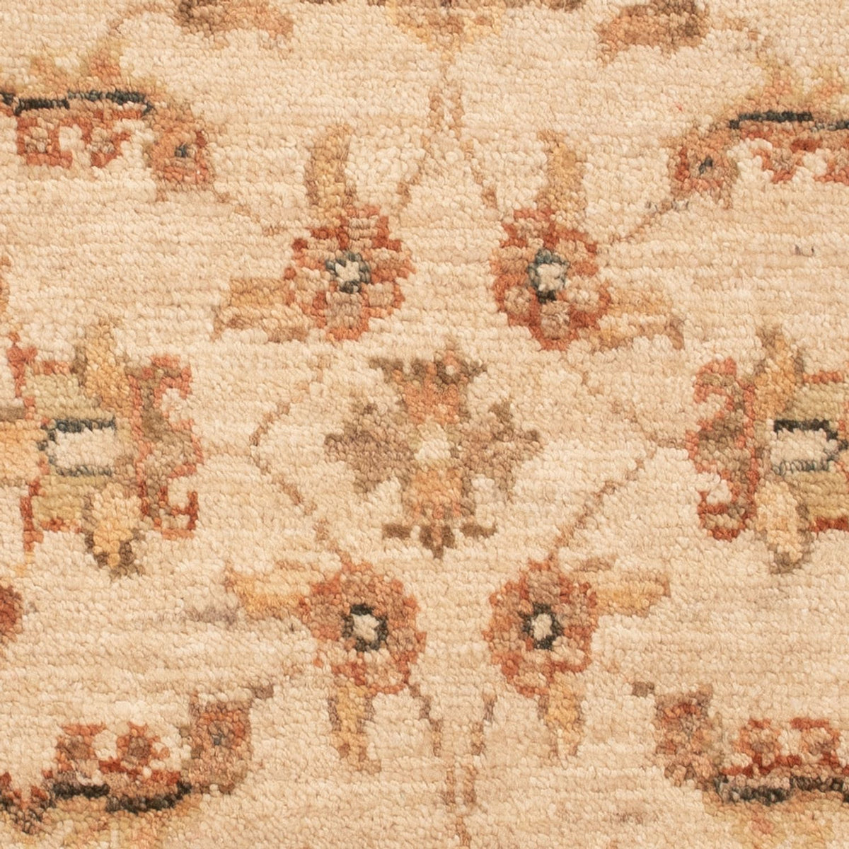 Ziegler Rug - 72 x 52 cm - beige