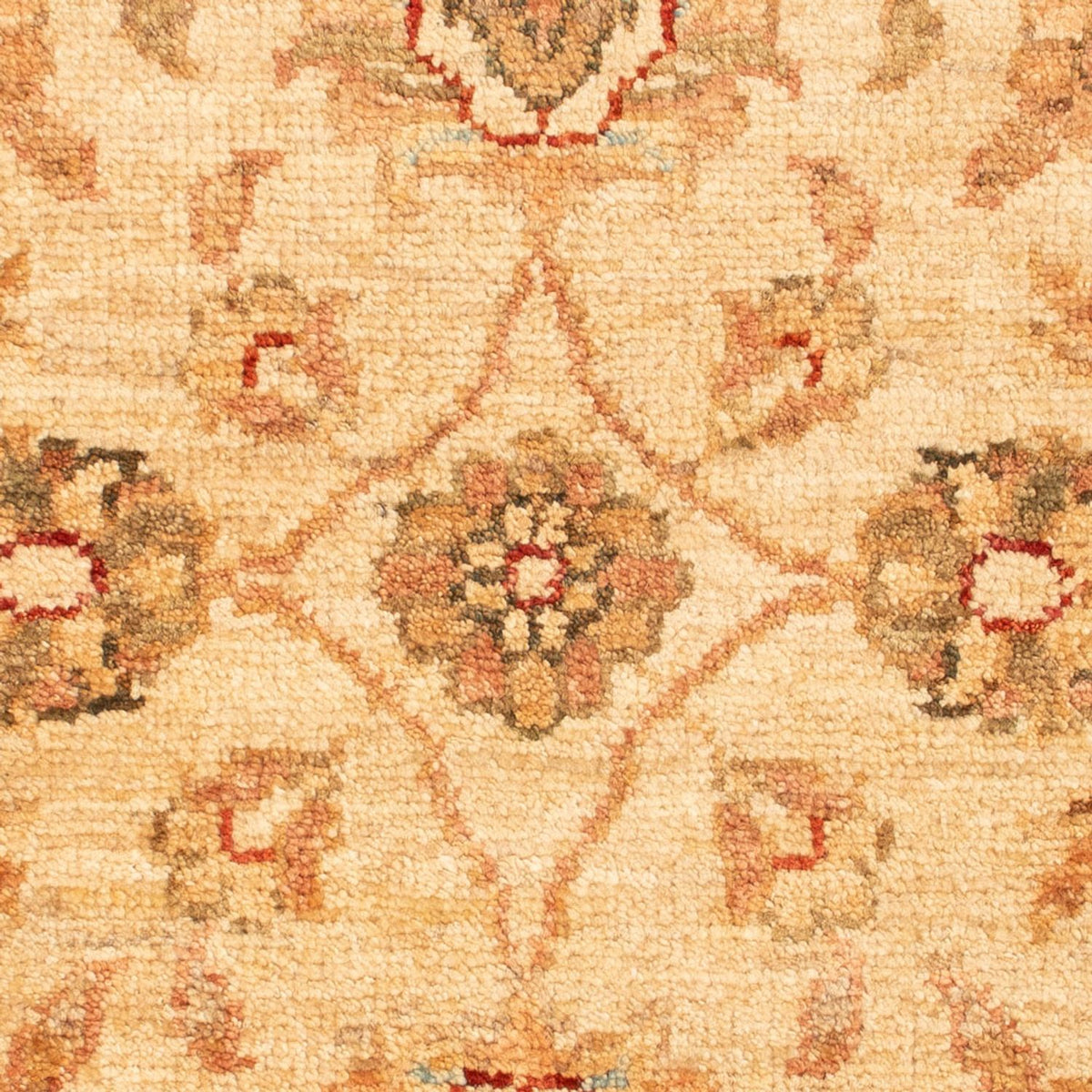 Ziegler Rug - 76 x 55 cm - beige