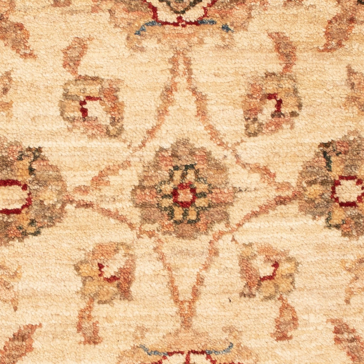 Ziegler Rug - 69 x 52 cm - beige