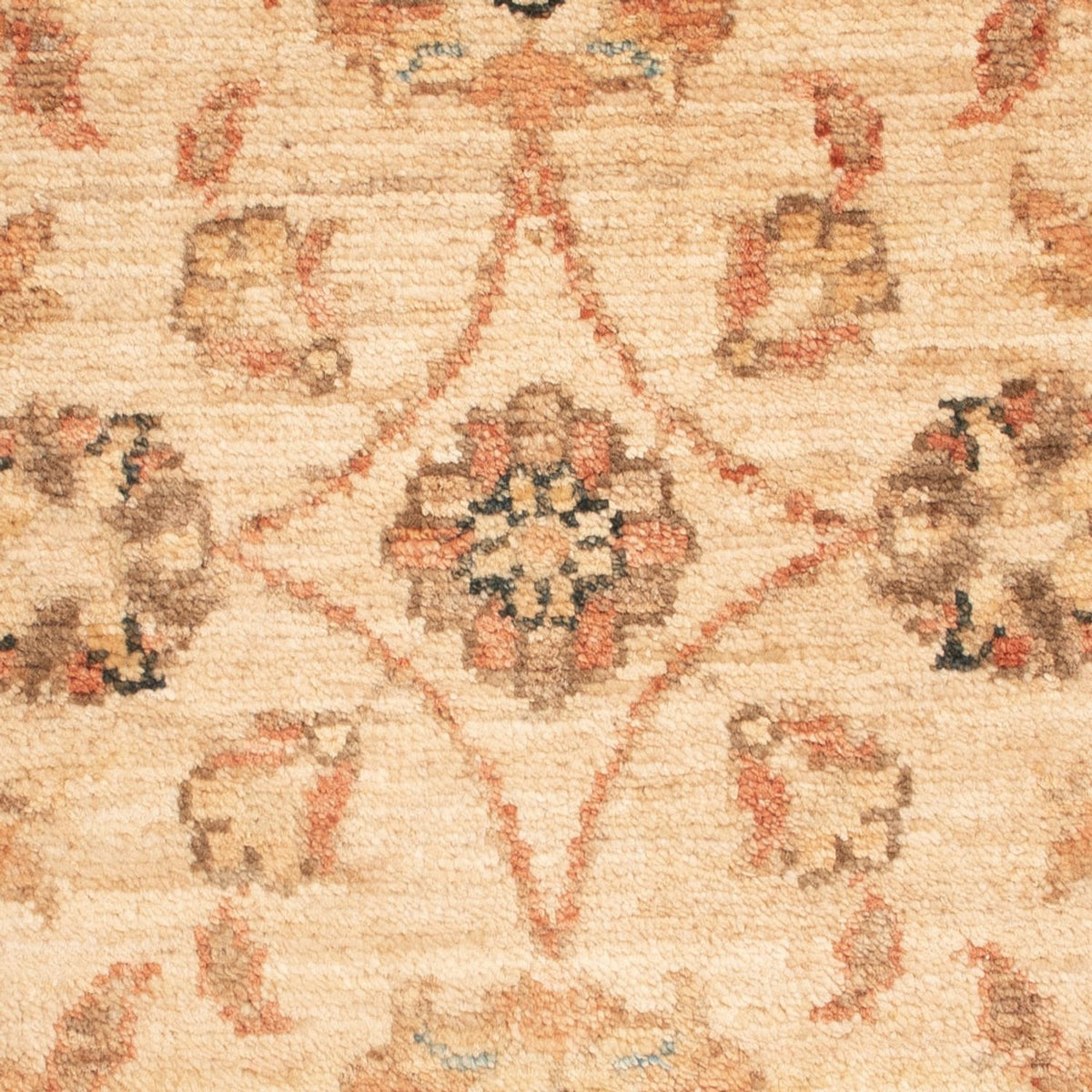 Ziegler Rug - 72 x 52 cm - beige