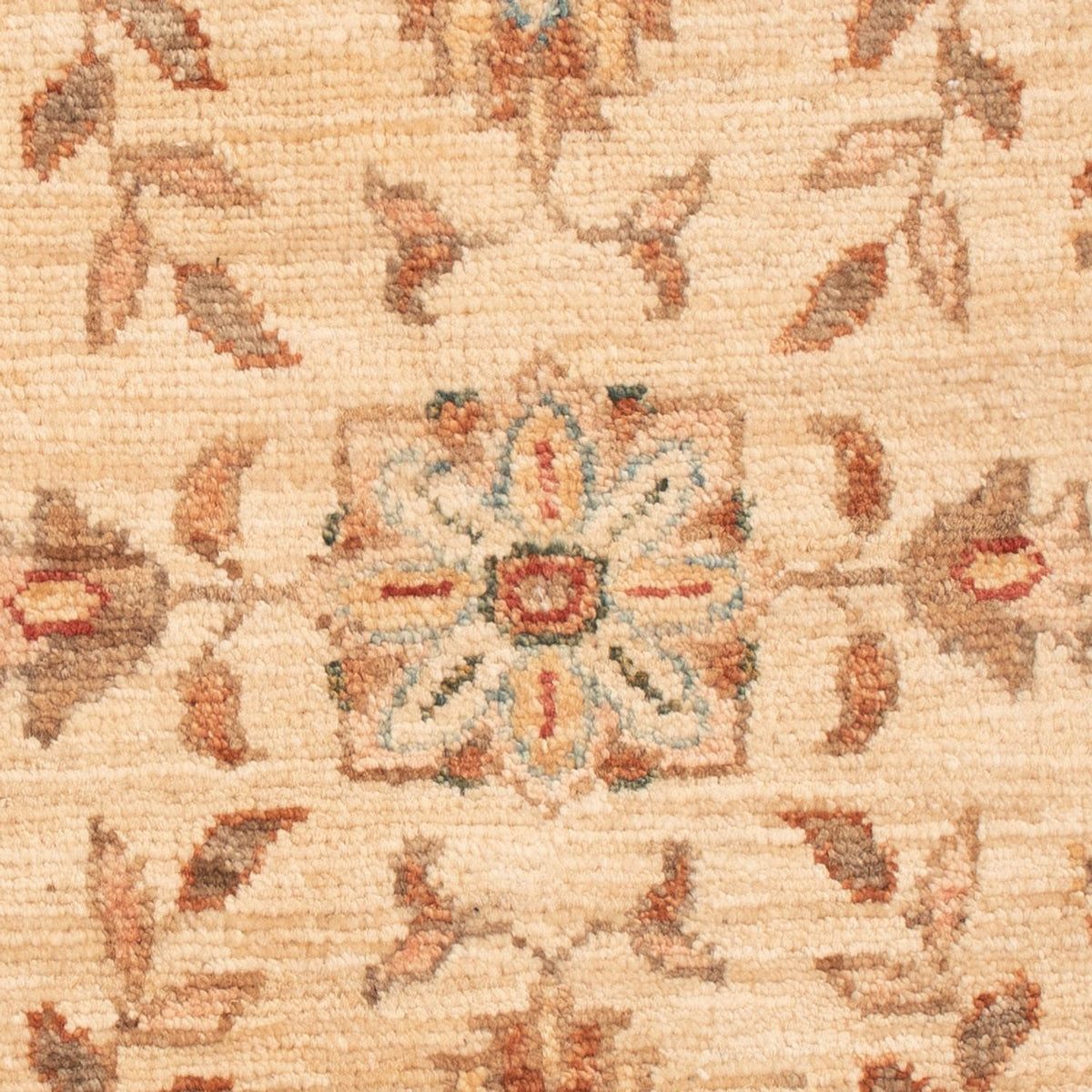 Ziegler Rug - 70 x 51 cm - beige