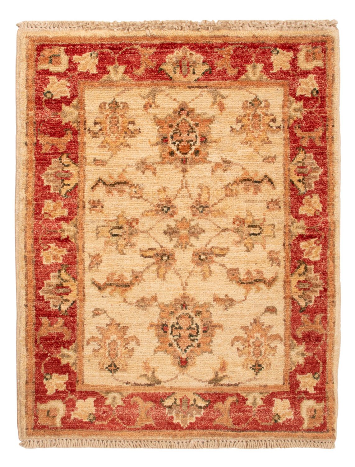 Ziegler Rug - 65 x 50 cm - beige