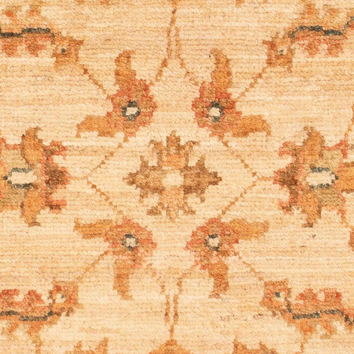 Ziegler Rug - 72 x 51 cm - beige