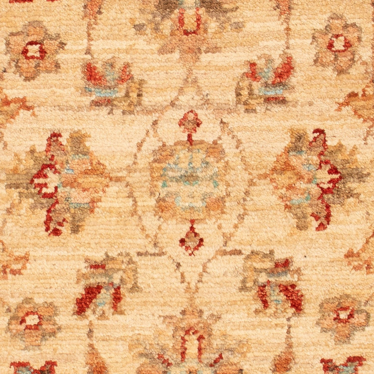 Ziegler Rug - 69 x 51 cm - beige
