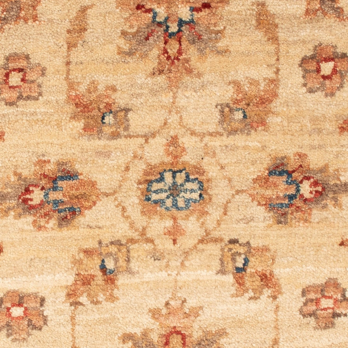 Ziegler Rug - 70 x 51 cm - beige