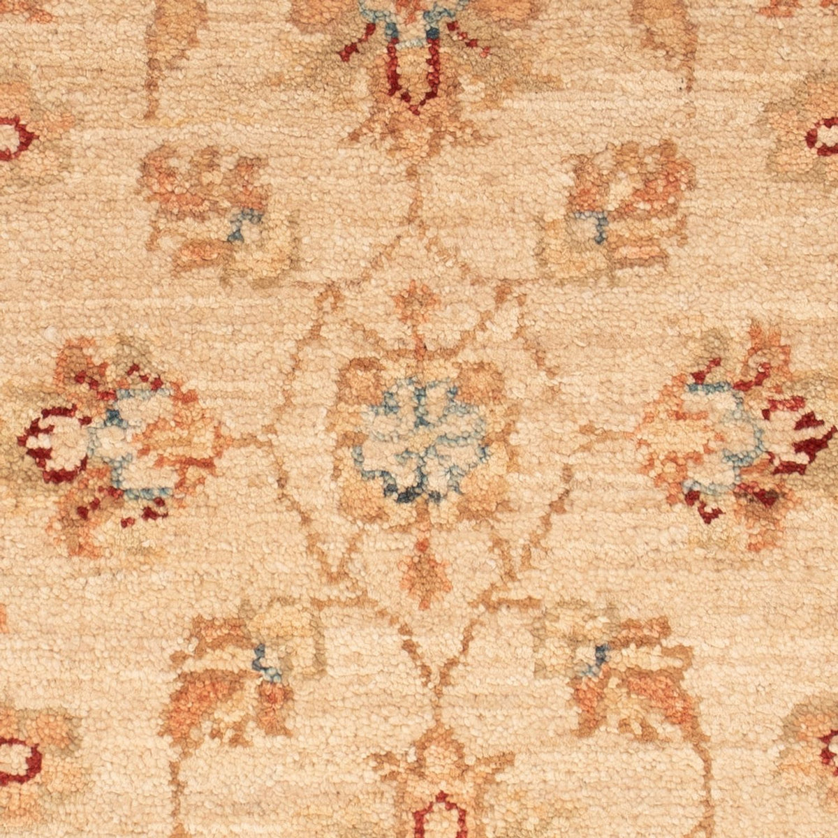 Ziegler Rug - 65 x 53 cm - beige