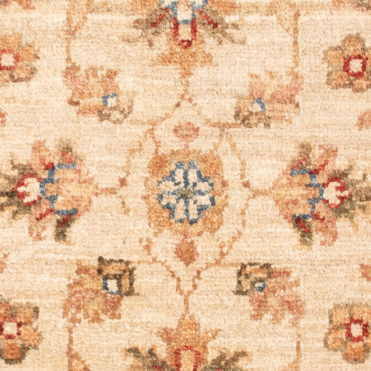 Ziegler Rug - 70 x 53 cm - beige