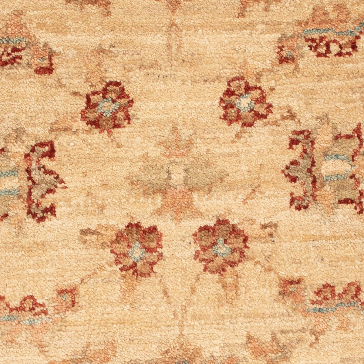 Ziegler Rug - 69 x 53 cm - beige