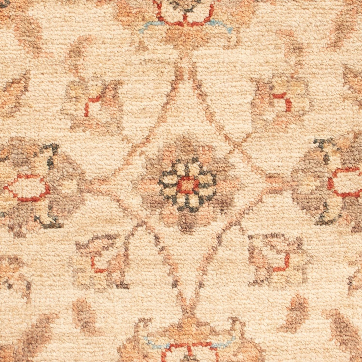 Ziegler Rug - 67 x 50 cm - beige