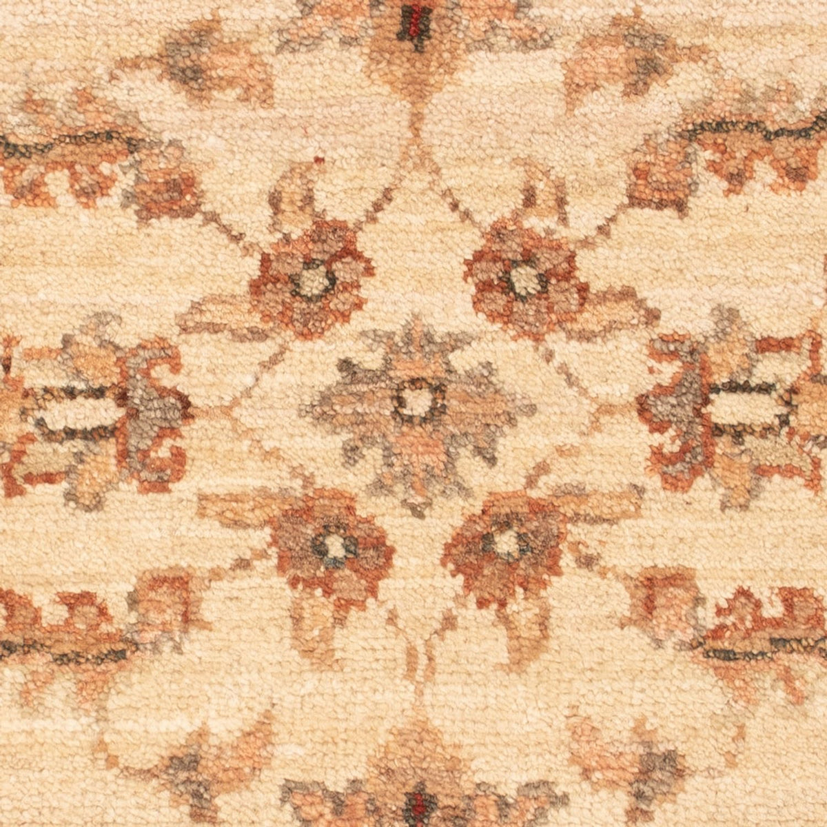 Ziegler Rug - 68 x 48 cm - beige