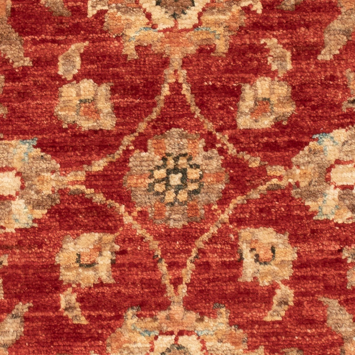 Ziegler Rug - 66 x 52 cm - rust