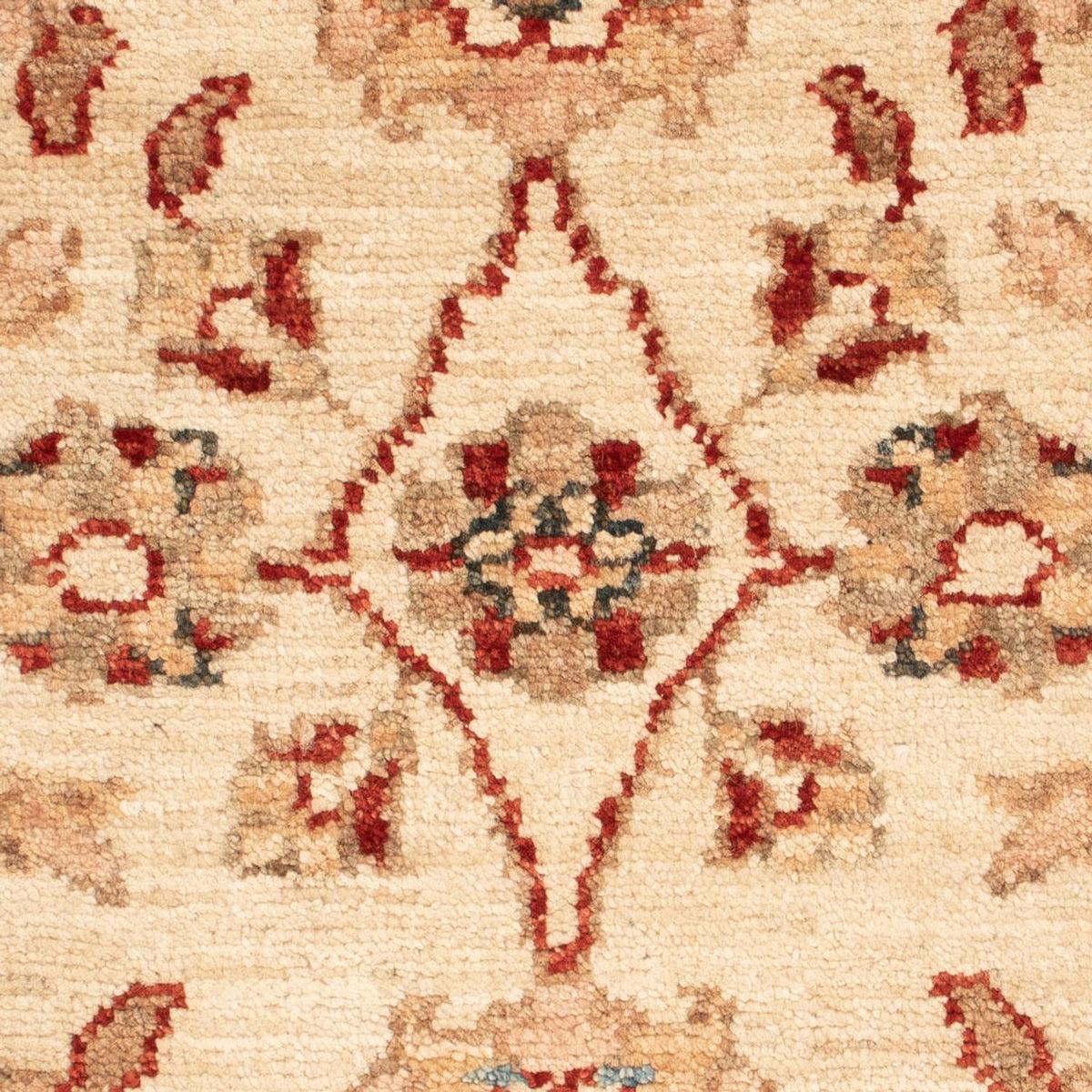 Ziegler Rug - 68 x 50 cm - beige