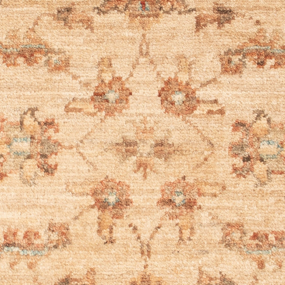 Ziegler Rug - 72 x 50 cm - beige