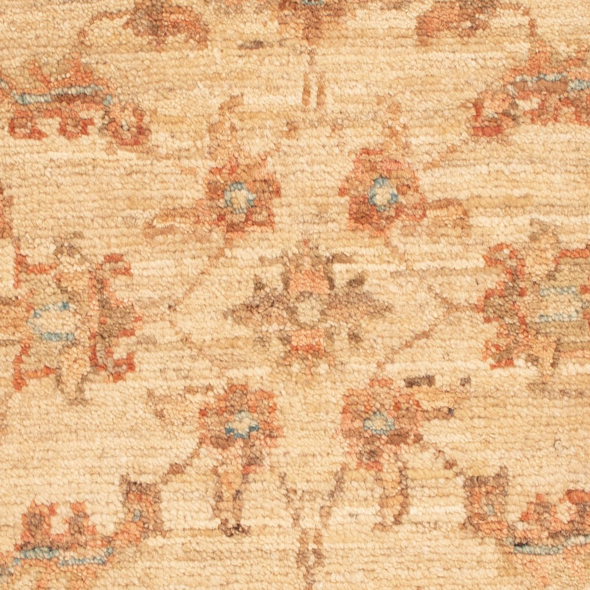 Ziegler Rug - 73 x 50 cm - beige